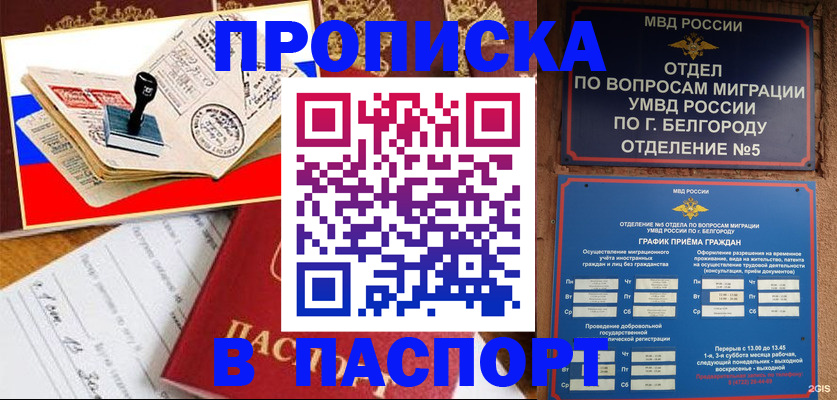 временная регистрация для всех в Торжоке